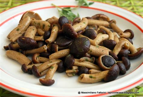   I Funghi di Bosco Saltati in Padella con una Scossa Piccante: Un Piatto dal Gusto Intenso che Risveglierà le tue Papille Gustative!